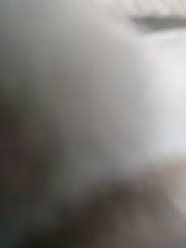 Felipe 20cm online show from February 2026 04:24:02 PM