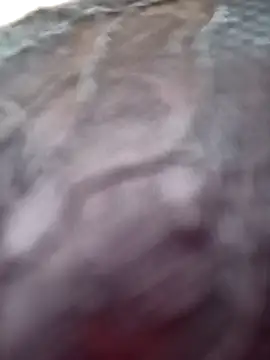 Snapshot of RossyAlvarez chatting on March 2026 02:37:02 AM RossyAlvarez online show from March 2026 02:37:02 AM