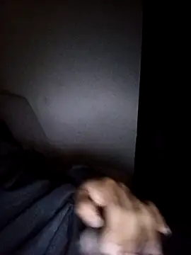 CorrectMusic2 online show from February 2026 09:03:02 AM