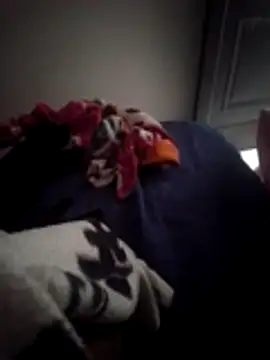 Cz Drax online show from February 2026 02:24:02 PM