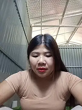 Lioe koei online show from June 2026 03:35:01 AM