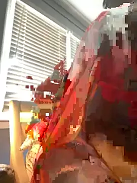 barracksbunny online show from May 2026 05:28:01 PM