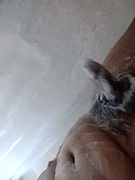 Snapshot of daringprince chatting on January 2026 06:22:01 PM daringprince online show from January 2026 06:22:01 PM