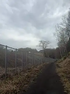 Snapshot of shoki_1123 chatting on April 2026 05:25:01 AM shoki 1123 online show from April 2026 05:25:01 AM