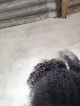 vaniyna online show from February 2026 10:58:02 AM