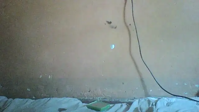 Sexyass100 online show from April 2026 10:07:02 AM