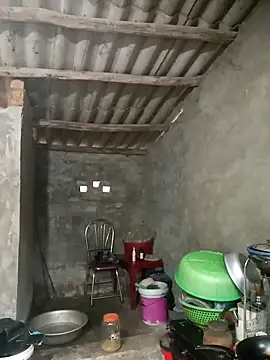 Nuna 689 online show from March 2026 04:16:01 AM