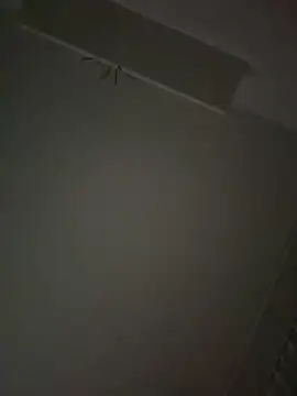 tony3729 online show from March 2026 12:47:02 AM