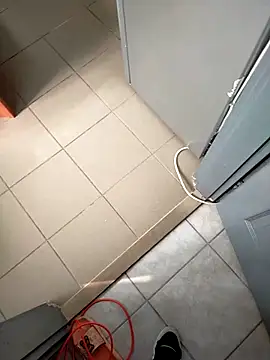 Punciprof online show from April 2026 08:19:02 AM