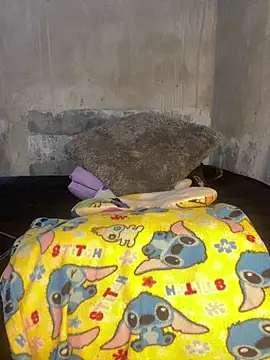 Iam AlexandraRey online show from February 2026 04:49:02 AM