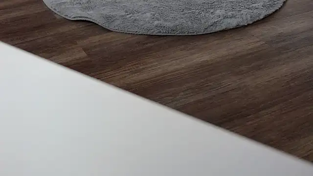 LesysFord online show from February 2026 08:24:01 PM