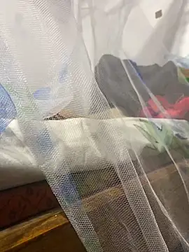 babythree11 online show from February 2026 06:42:01 AM