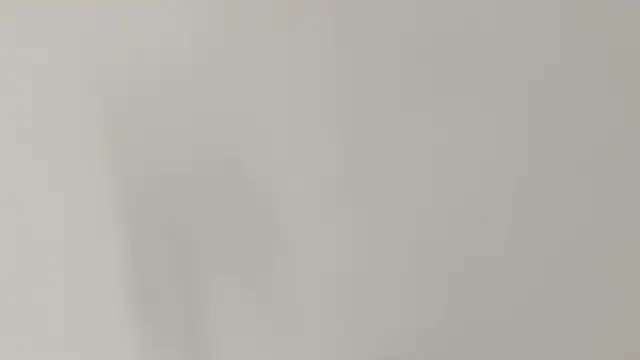 Ashley Ebony   online show from February 2026 01:04:01 PM