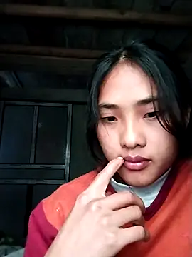 Hoa-tuylip online show from February 2026 05:26:02 AM