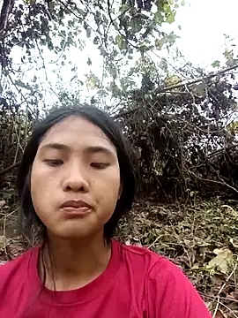 Hoa-tuylip online show from March 2026 02:39:02 AM