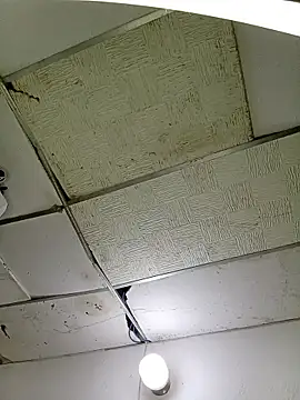 angela sex x online show from February 2026 12:33:02 AM