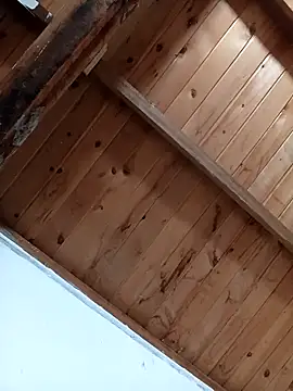 luna pinky online show from March 2026 04:42:01 PM