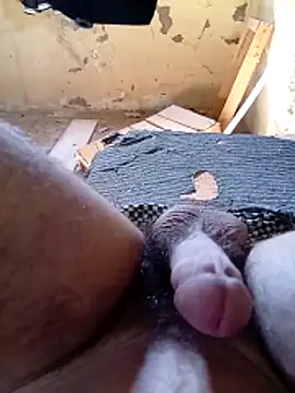 Elbayda online show from March 2026 02:05:02 PM