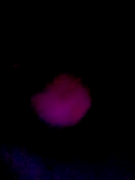 061190 online show from March 2026 02:20:01 PM