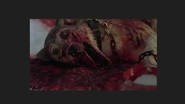 lil monikaa online show from April 2026 01:54:01 AM