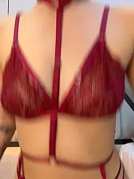 Snapshot of AriaWillssX chatting on February 2026 08:04:01 PM AriaWillssX online show from February 2026 08:04:01 PM