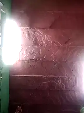 Snapshot of bhavna_pandit chatting on April 2026 10:27:01 AM bhavna pandit online show from April 2026 10:27:01 AM