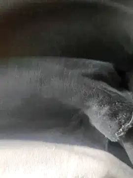 3D-telugu online show from March 2026 06:06:02 AM