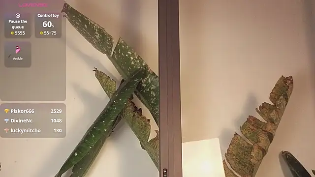 Snapshot of came-a-lot chatting on February 2026 08:18:01 PM came-a-lot online show from February 2026 08:18:01 PM