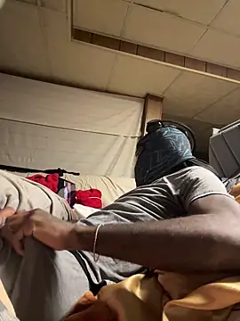 ProveYourLoyalty2 online show from February 2026 07:23:01 AM