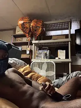 Snapshot of ProveYourLoyalty2 chatting on April 2026 12:36:02 PM ProveYourLoyalty2 online show from April 2026 12:36:02 PM