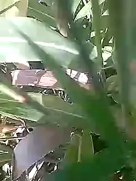 Cute Boy 4 online show from March 2026 05:09:02 AM