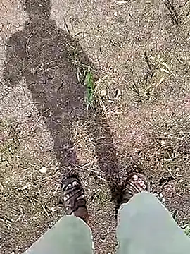 Cute Boy 4 online show from June 2026 04:41:02 AM
