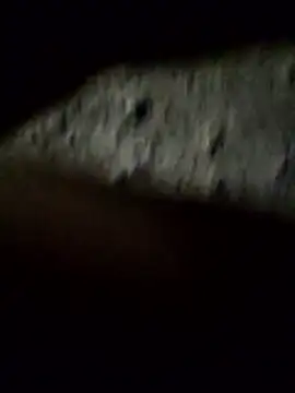 Snapshot of crazyxy12 chatting on February 2026 03:48:02 PM crazyxy12 online show from February 2026 03:48:02 PM