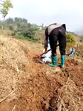 Snapshot of Tina-beo chatting on March 2026 01:43:01 AM Tina-beo online show from March 2026 01:43:01 AM