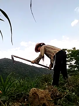 Snapshot of Tina-beo chatting on April 2026 08:19:01 AM Tina-beo online show from April 2026 08:19:01 AM