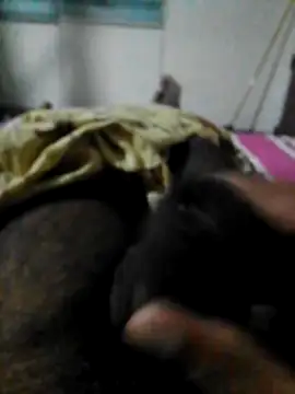 Snapshot of FlatBlackboard chatting on February 2026 05:44:01 PM FlatBlackboard online show from February 2026 05:44:01 PM