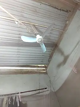 JordanX 01 online show from April 2026 05:38:02 AM