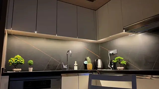 BlackFox V online show from April 2026 08:39:01 PM