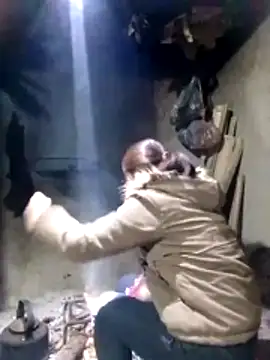 Snapshot of maimai1100 chatting on February 2026 12:42:02 AM maimai1100 online show from February 2026 12:42:02 AM