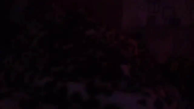 bialoba7 online show from June 2026 03:37:02 PM