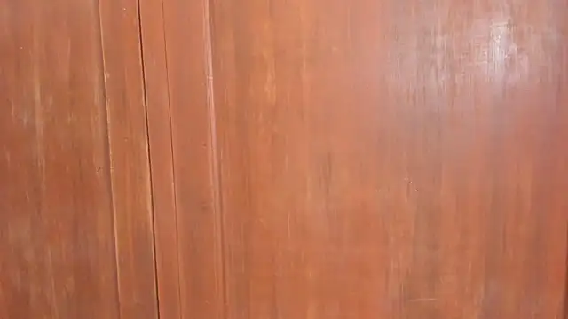 Sophiia88 online show from February 2026 12:01:02 PM