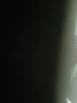 Gordinho dos pes online show from February 2026 02:10:01 AM