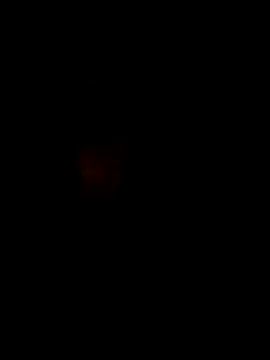 S7LEALTADPERVLIMA7 online show from April 2026 05:01:02 AM