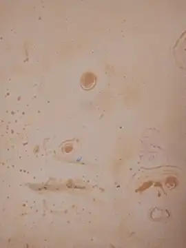 Sapna baby1 online show from February 2026 04:35:01 AM