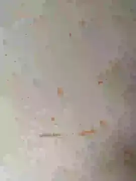 Sapna baby1 online show from February 2026 04:33:02 AM