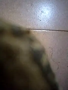 the sayem fuckboy online show from February 2026 02:01:02 PM