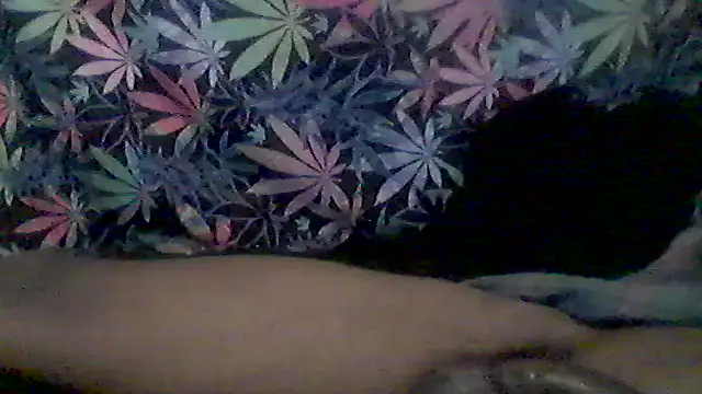 libraxxxstudios online show from June 2026 04:57:01 AM