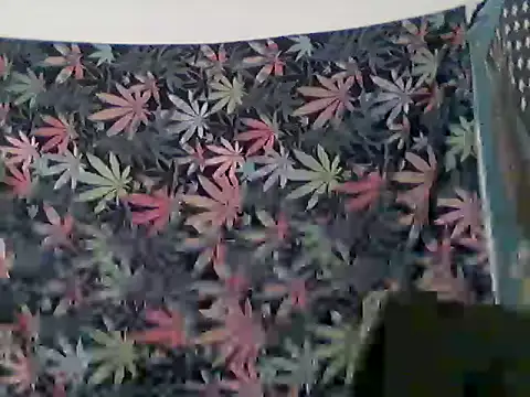libraxxxstudios online show from June 2026 12:37:01 PM