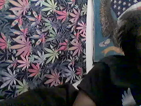 libraxxxstudios online show from July 2026 09:51:02 AM