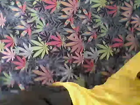 libraxxxstudios online show from July 2026 09:57:01 PM
